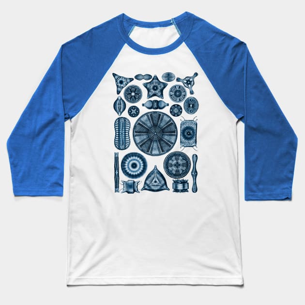 Ernst Haeckel Diatoms Navy Blue Baseball T-Shirt by Scientistudio